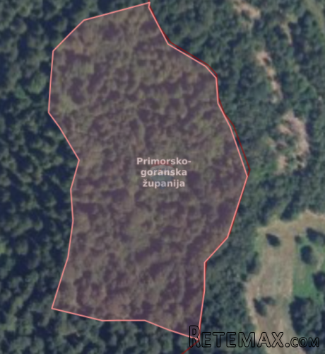 Šuma - Gorski kotar, Kupjak, 35 000 m2