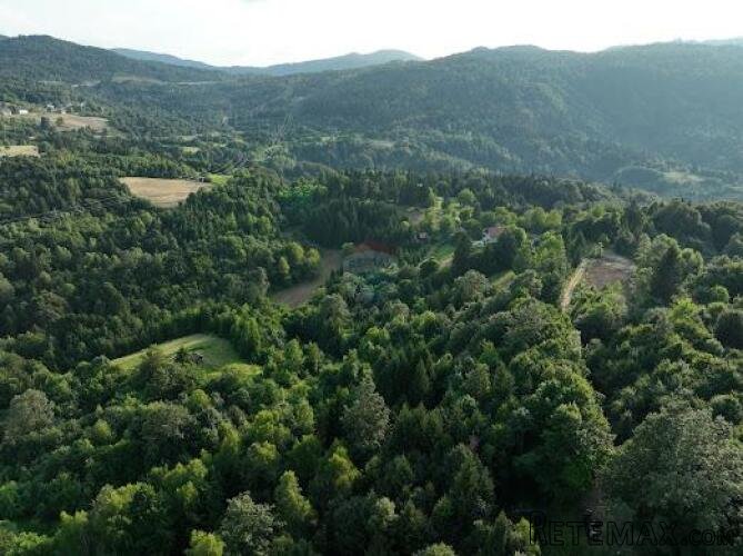 Poljoprivredno zemljište, Gorski kotar, 11000 m2