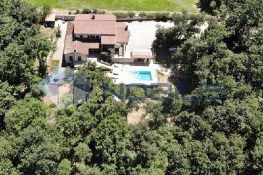 Buje, vila 250 m2 s vrtom 11000 m2