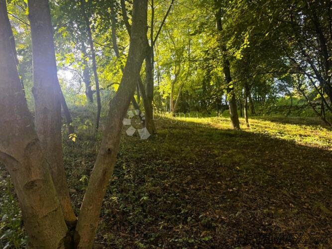 Spremno za gradnju: zemljište 6085 m² s dozvolom i projektom