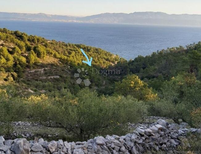 POLJOPRIVREDNO ZEMLJIŠTE, OTOK ŠOLTA 5113M2 - 2