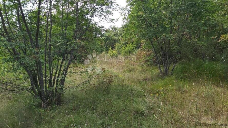 Prostrano zemljište pravilnog oblika na kraju sela - 2