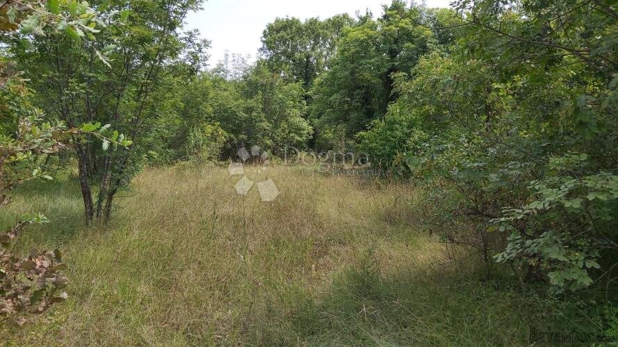 Prostrano zemljište pravilnog oblika na kraju sela - 3