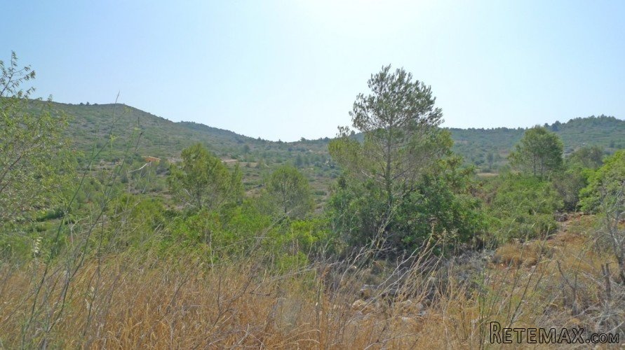 A beautiful flat plot with 360 degree views over the Jalon..
