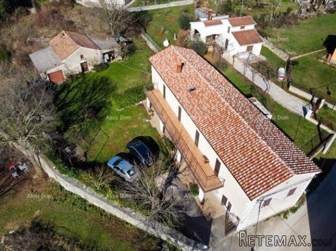 Prodajemo veliku samostojeću kuću sa velikom okućnicom! - 3