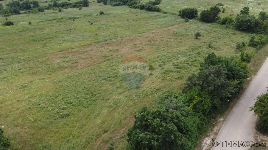 Istra, Tar, poljoprivredno zemljište 10054 m2 - 2
