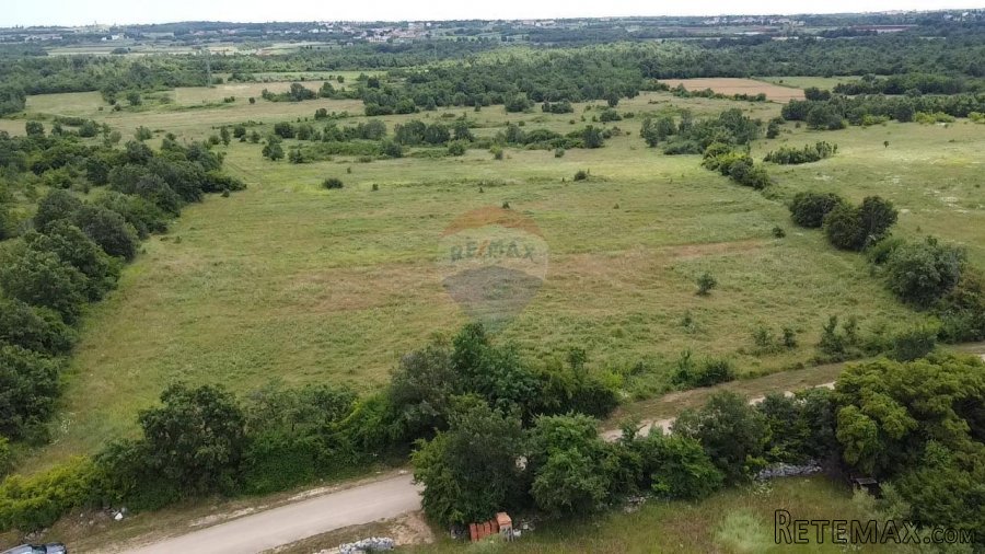 Istra, Tar, poljoprivredno zemljište 10054 m2 - 3