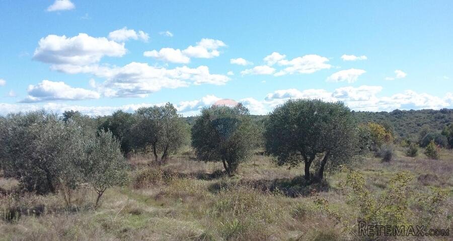 Istra, Umag - građevinsko + poljoprivredno zemljište, pogled - 3