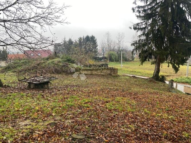 Rijetkost na tržištu - 3