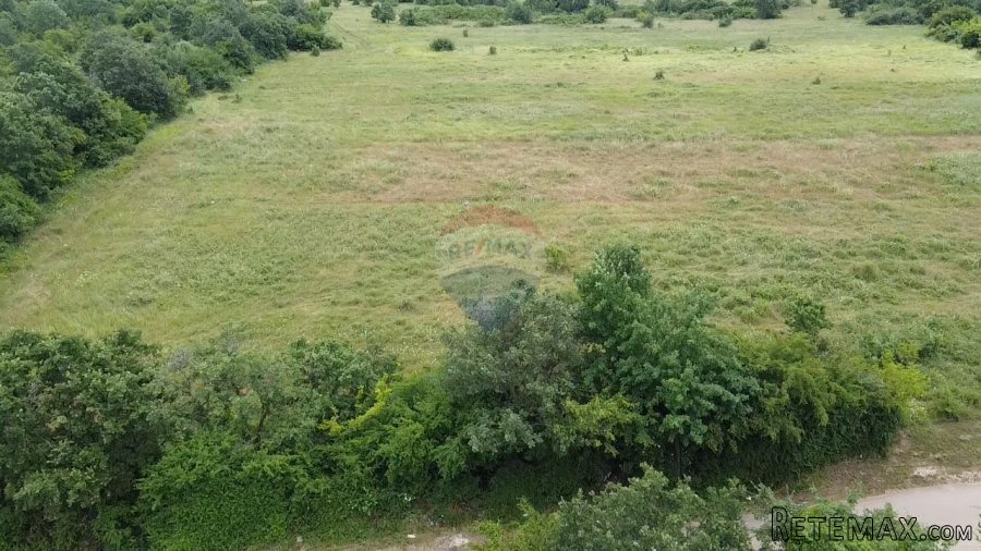 Istra, Tar, poljoprivredno zemljište 10054 m2 - 4