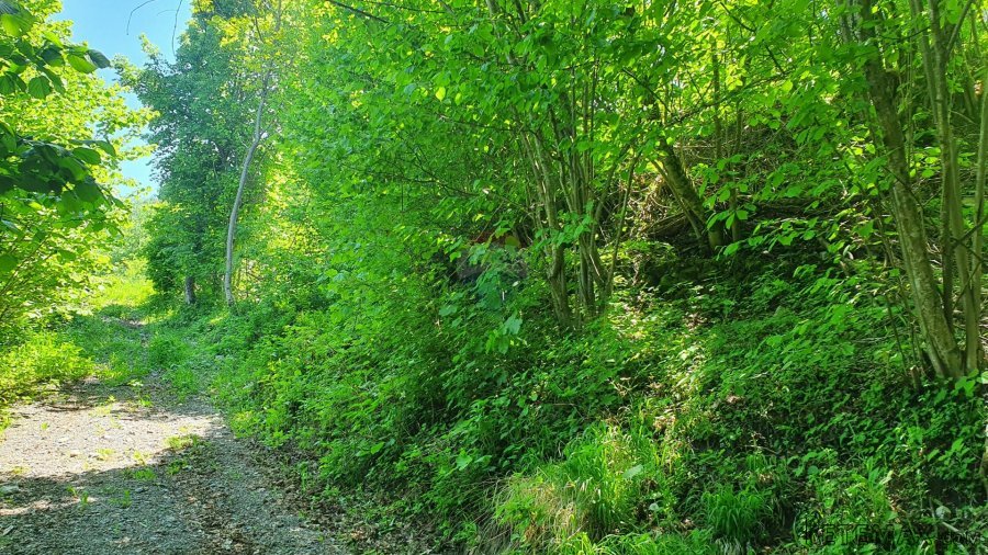Lukovdol - negrađevinski teren 3520 m2 - 5