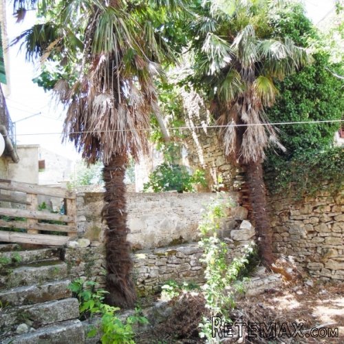 Istra,Vodnjan,kamena kuća u nizu sa dvorištem za renoviranje - 4