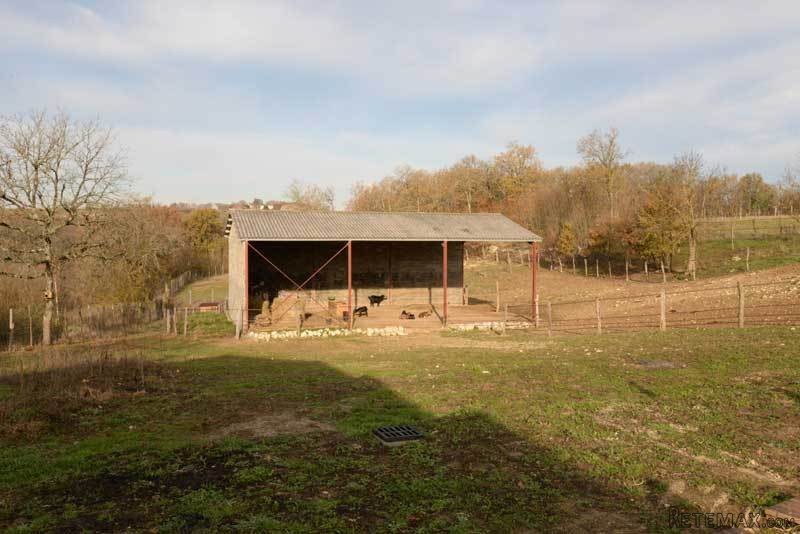 Loft Style Barn Conversion In 4 Acres - 2