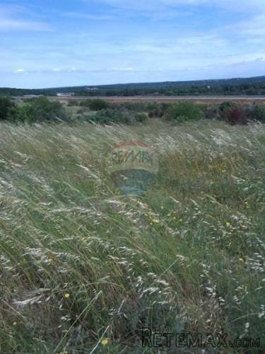 ISTRA,PULA-POLJOPRIVREDNO ZEMLJIŠTE - 4