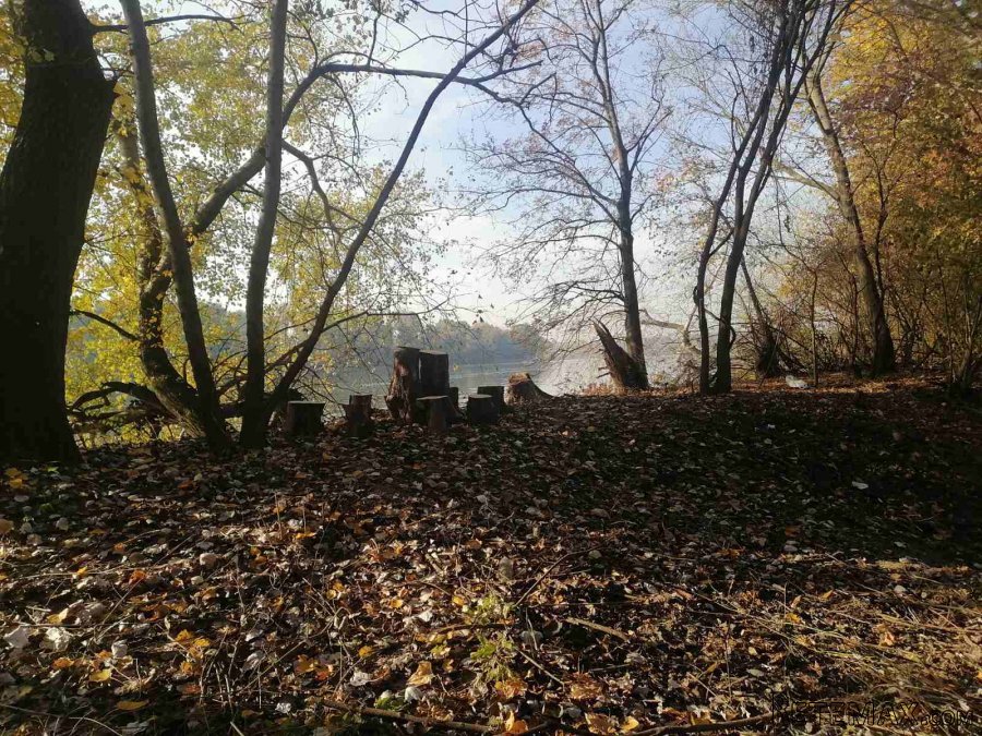 Plac na Savi - 13