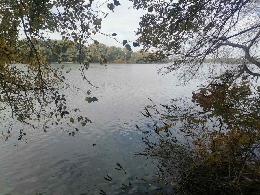 Plac na Savi - 14