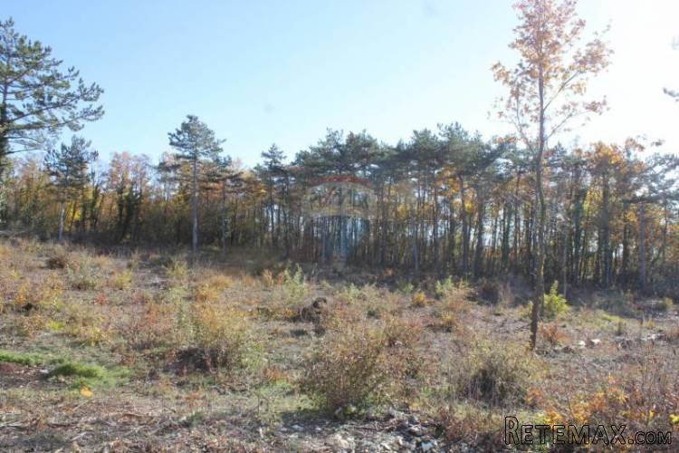 GRAĐEVINSKO ZEMLJIŠTE - POGLED NA MORE 3600M2 - 5