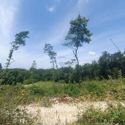 Sveti Lovreč, okolica , građevinski teren