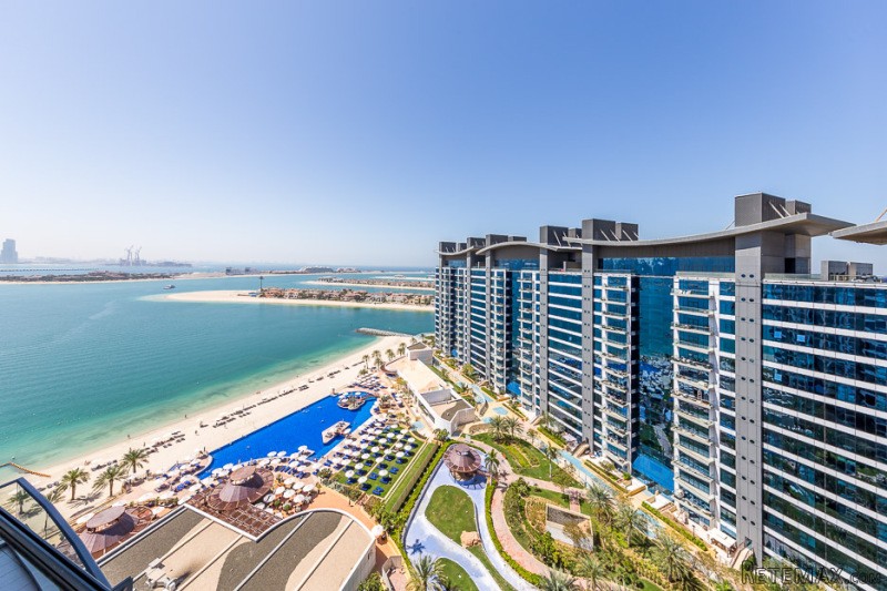 Would you like to have a WOW at The Palm