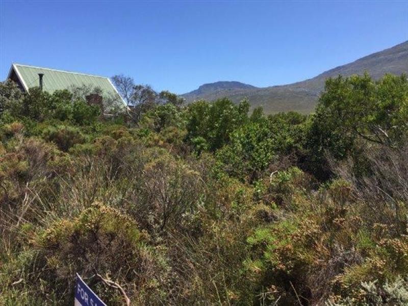 Bettys Bay Vacant Land, Bettys Bay - 2