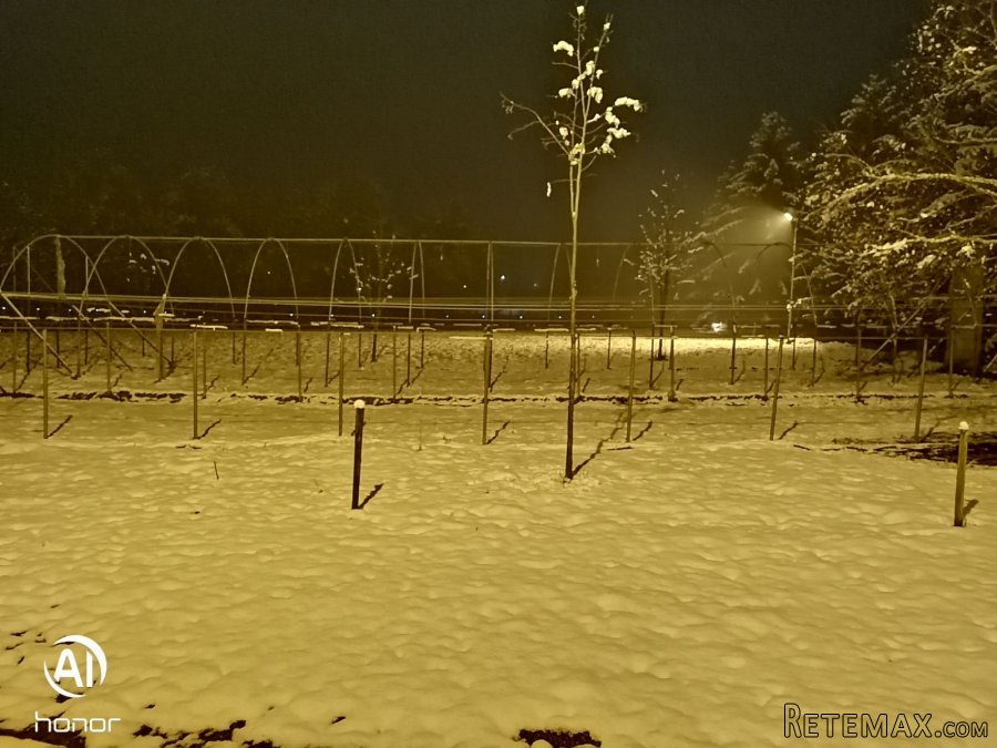 Porodicna kuca sa pomocnim objektom - 28