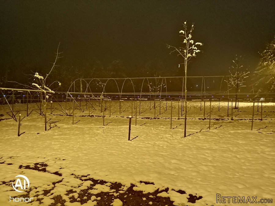 Porodicna kuca sa pomocnim objektom - 30