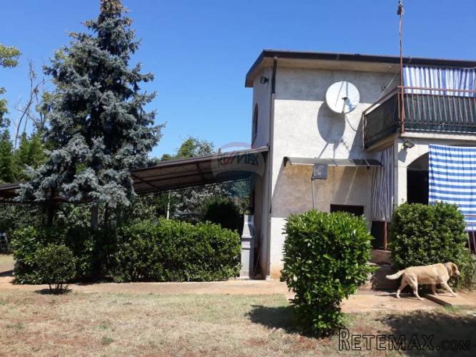 Prodaje se velika kuća sa velikom okućnicom u okolici Umaga - 2