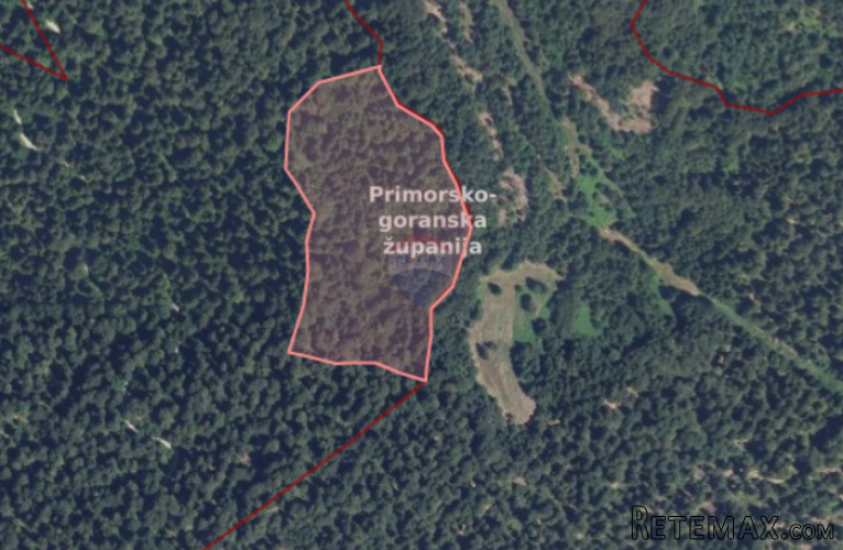 Šuma - Gorski kotar, Kupjak, 35 000 m2 - 2