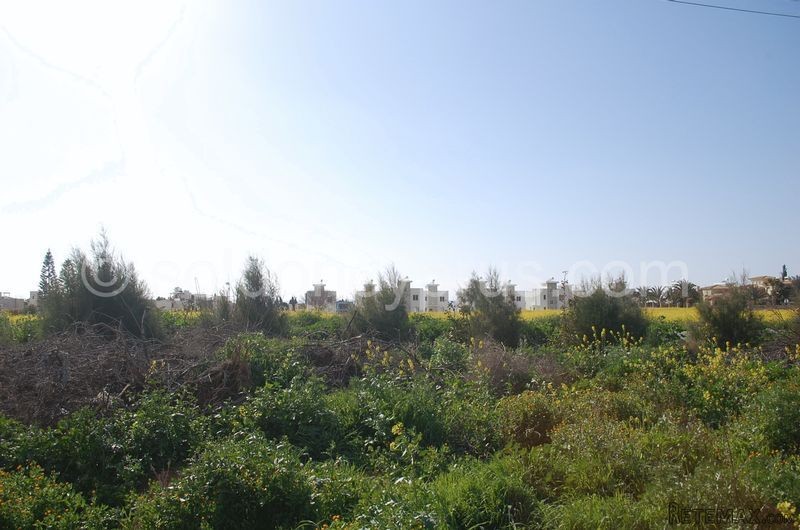 - Land - Paphos - For Sale