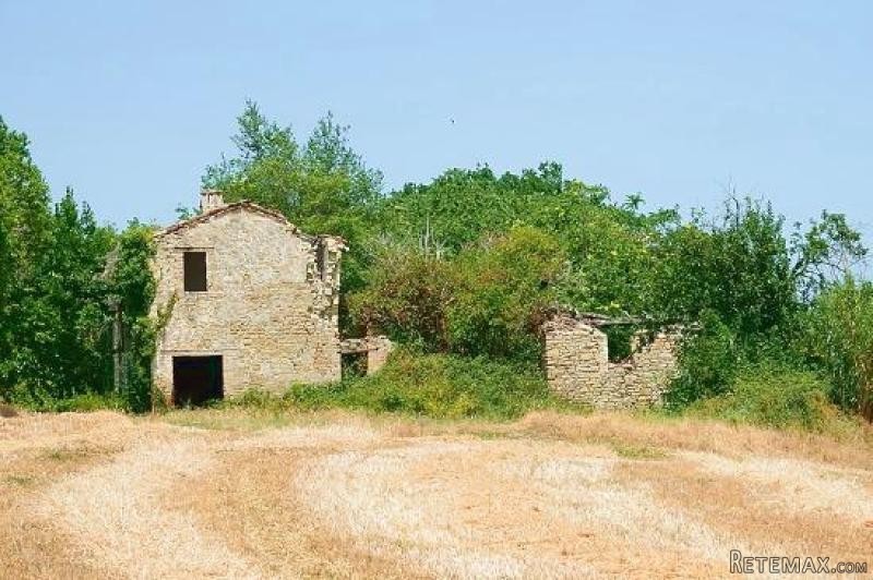 House - Marche - For Sale - 2