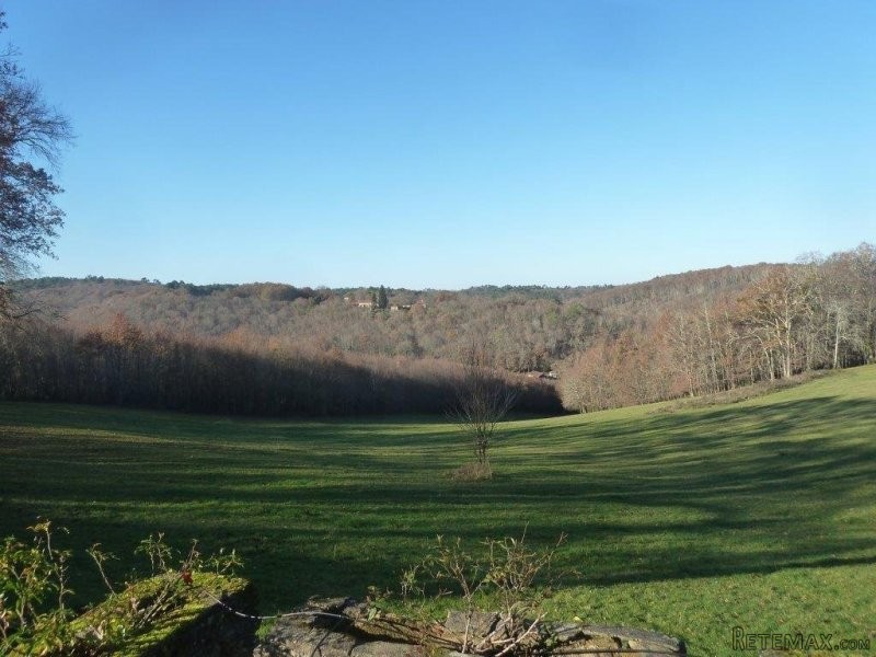 Charming Country House on 1.5 Acres - 2
