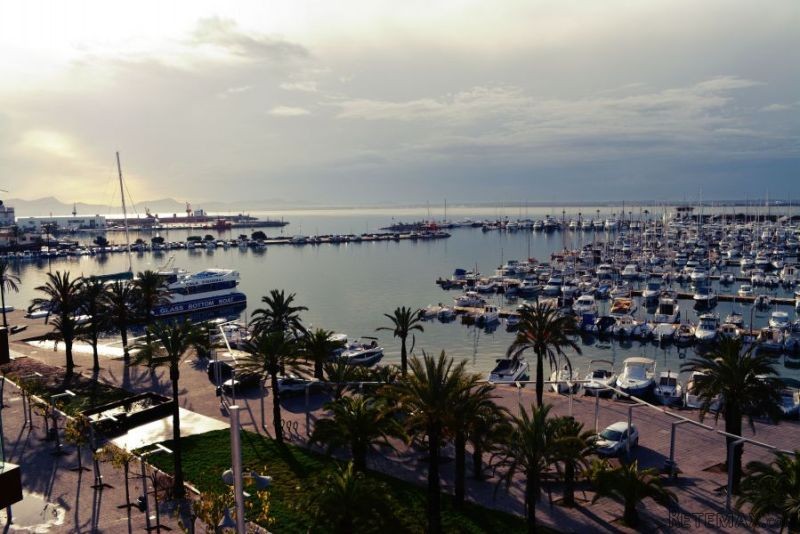Penthouse In 1 St Line Of The Port Of..