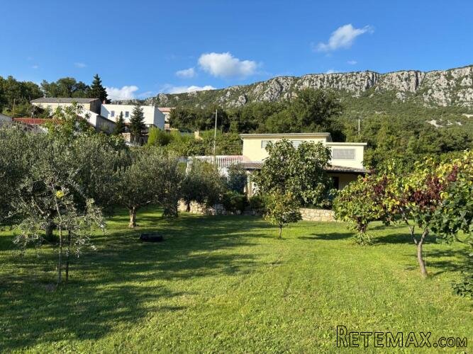 Bribir, dvije kuće na imanju od 3500m2 - 3