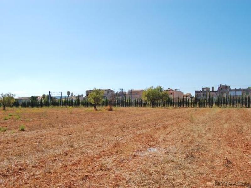 Huge Flat Plot Inside The Village Of.. - 2