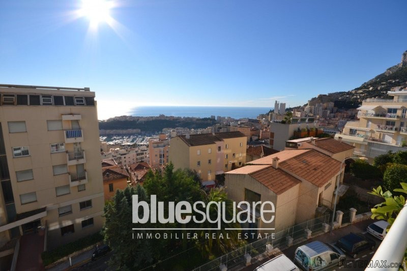 One bedroom apartment with sea view..