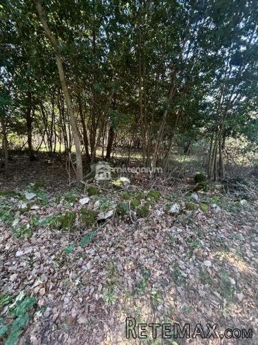 Istra, okolica Labina, građevinsko zemljište od 512m2 - 3