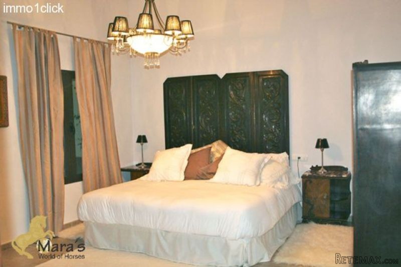 Alicante: Hotel equestrian property - 2