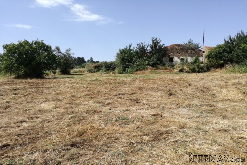 Ruin With Land Near Ferreira do Zezere