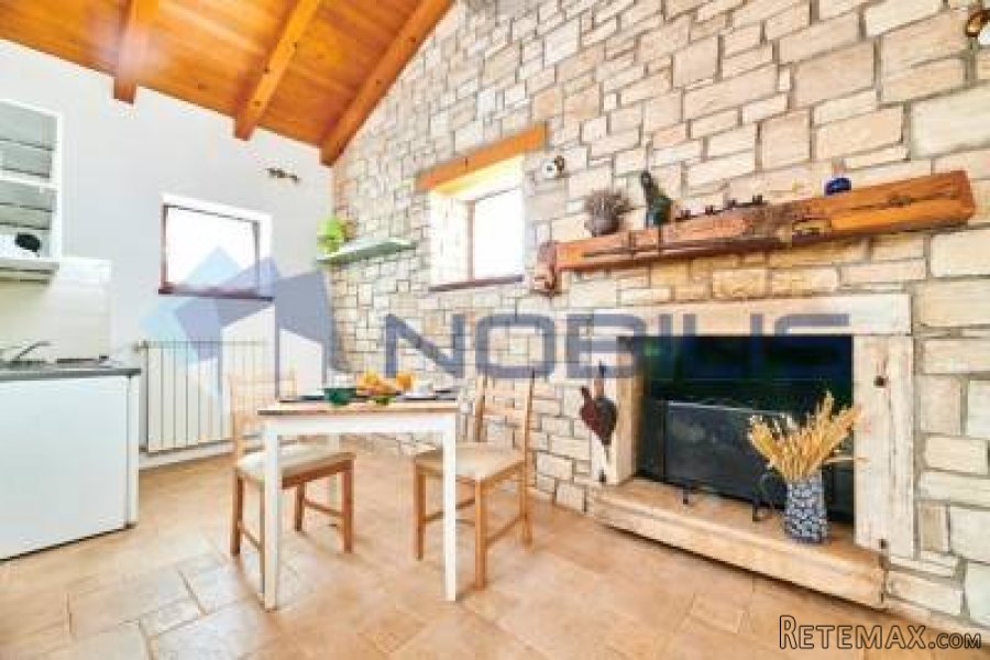 Buje, vila 250 m2 s vrtom 11000 m2 - 7