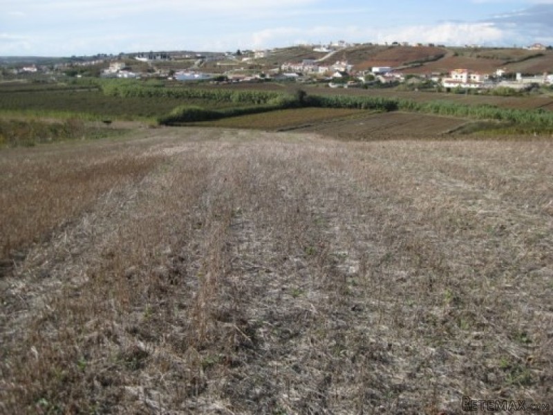 Land , Torres Vedras - 2