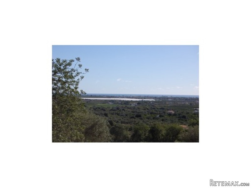 Plot, Tavira › Luz De Tavira E Santo E..
