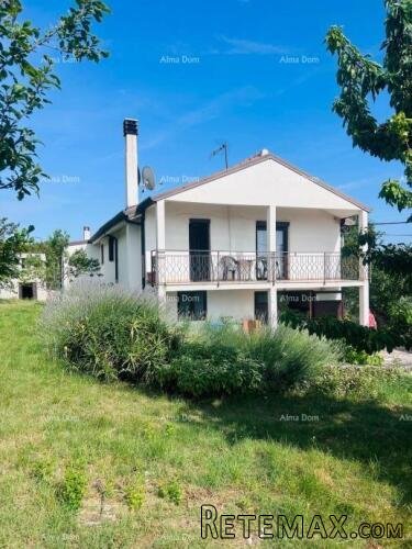 Buje – Samostojeća kuća s maslinikom i građevinskim zeml.. - 4