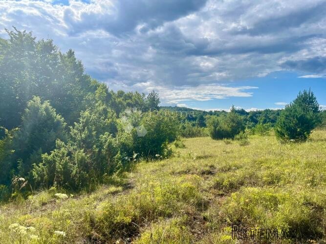 Zemljište s vizijom – 20 ha netaknute prirode 10 minuta od P