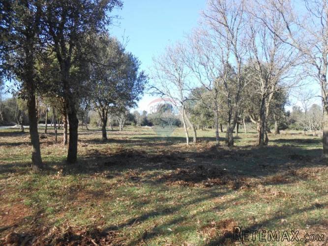 Istra, Ližnjan, poljoprivredno zemljište, šuma - 2