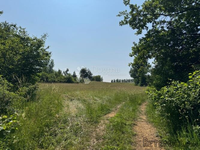 ZEMLJIŠTE U SMILJANSKOM POLJU - 2