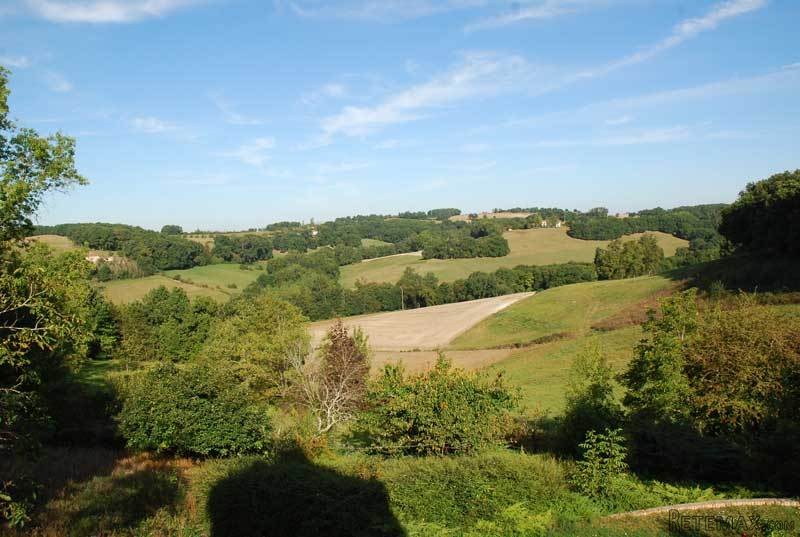 6 Bedroom House In 4 Acres With Pool - 2