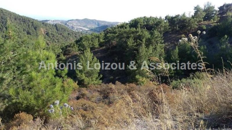 Land For Sale Pano Platres - 2