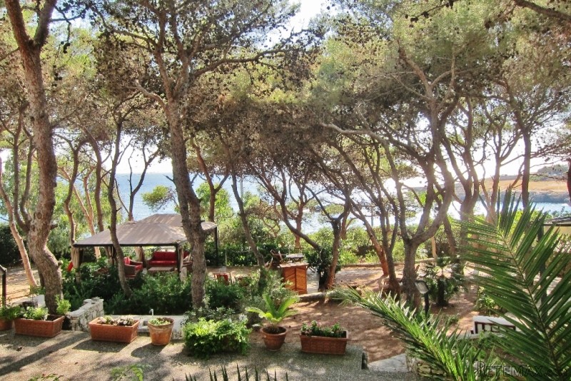 V000149, Beachfront Villa In Santa.. - 2