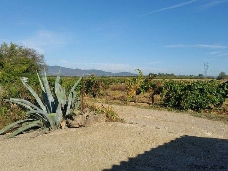 Impressive Property with 2 Outbuildings - 2