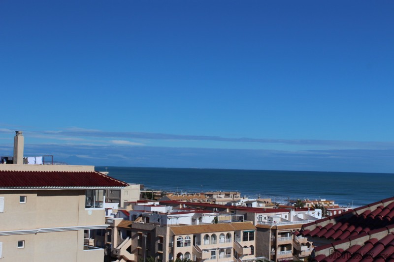1 Bedroom - Apartment - Costa Blanca..